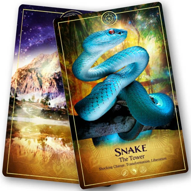 The Ark Animal Tarot & Oracle Cards Deck (2nd Edition) - Image 2