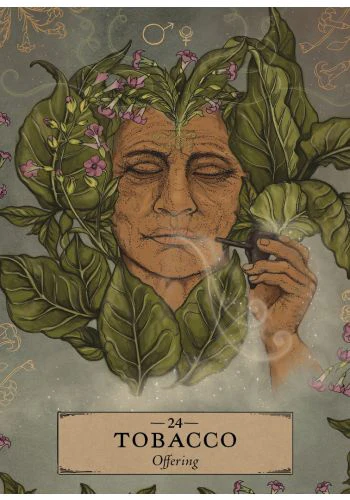 The Herbal Astrology Pocket Oracle - Image 2