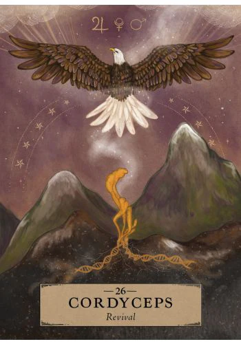 The Herbal Astrology Pocket Oracle - Image 3