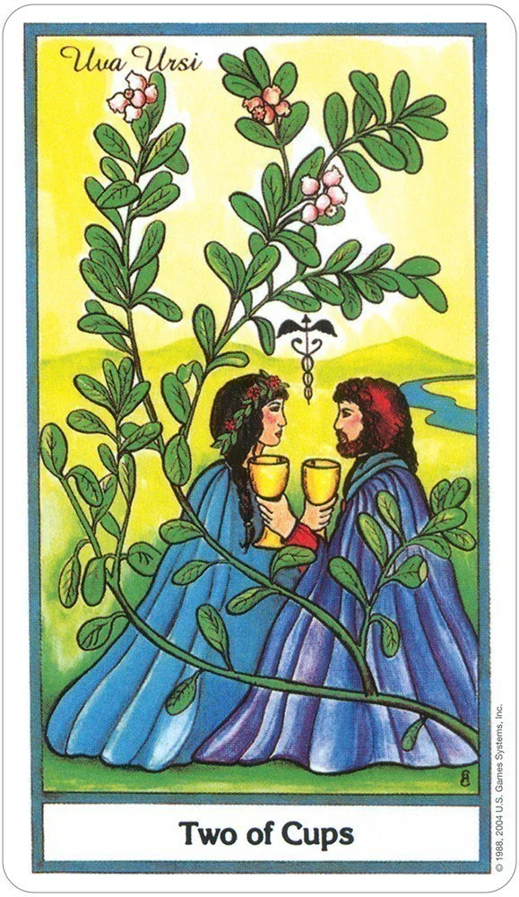 The Herbal Tarot - Image 4