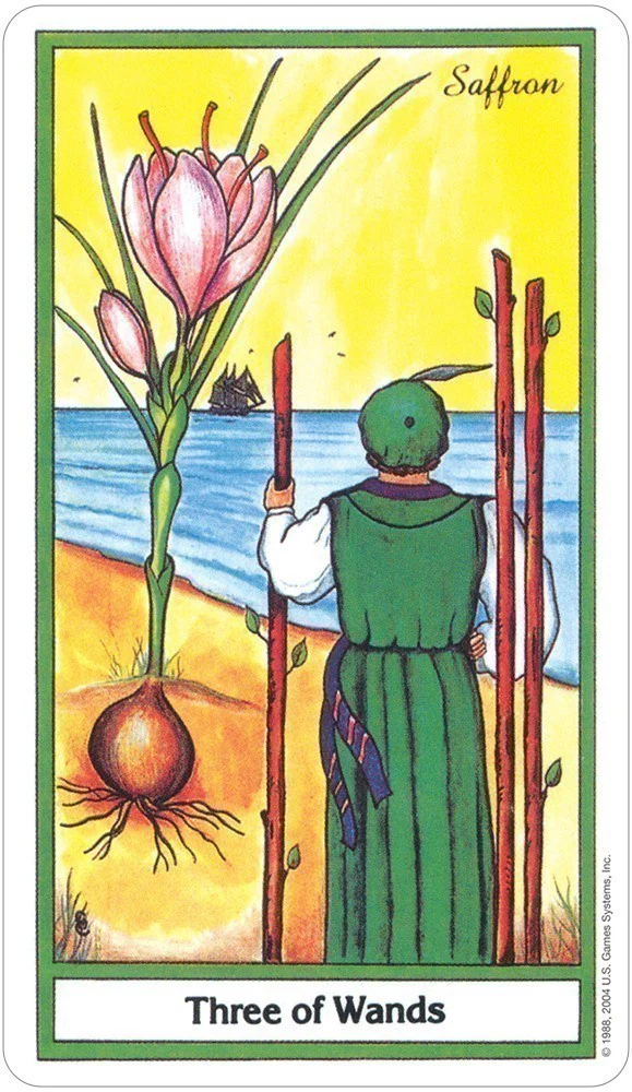 The Herbal Tarot - Image 6