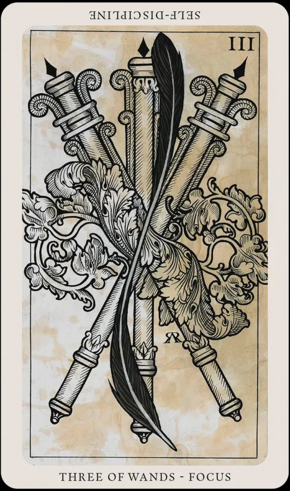 The Medieval Feathers Tarot - Image 5