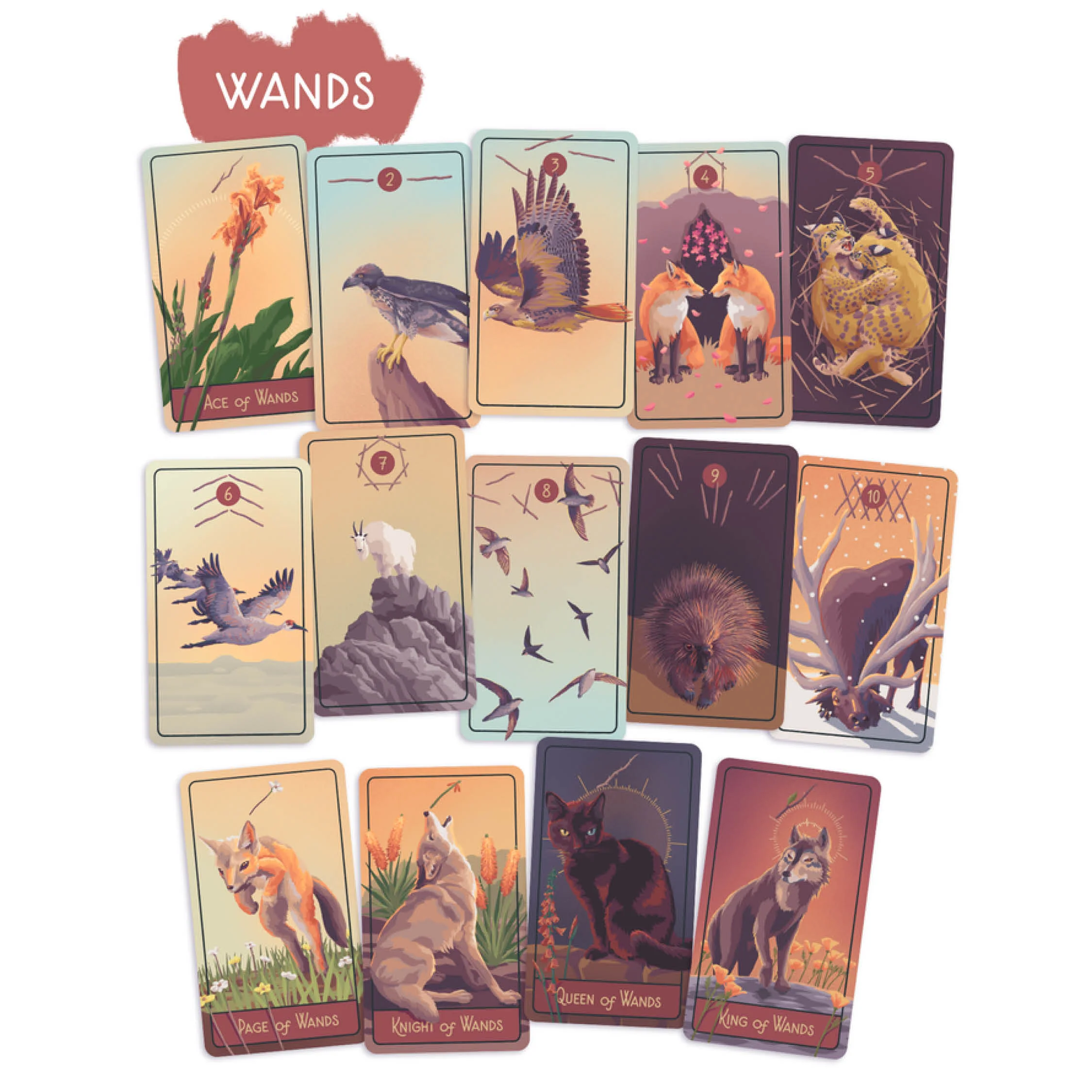 The Pacific Northwest Tarot Deck (tweedehands) - Image 3