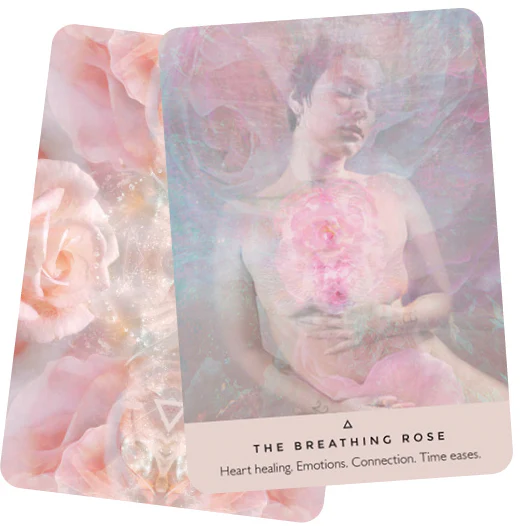 The Rose Oracle - Image 2