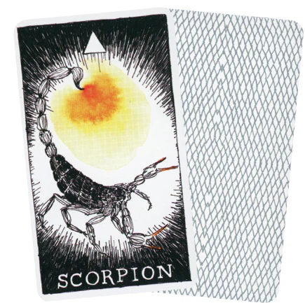 The Wild Unknown Animal Spirit Pocket set - Image 3
