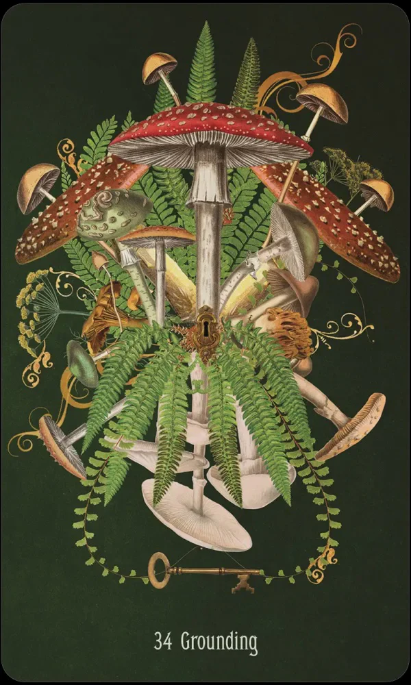 Unlocking the Secret Garden Oracle - Image 6