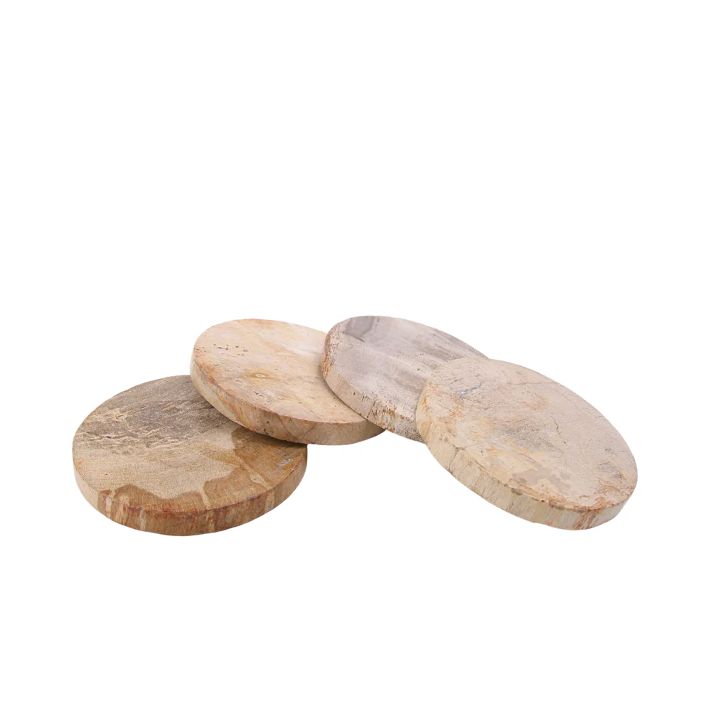 Versteend hout onderzetters, set van 4 - Image 3