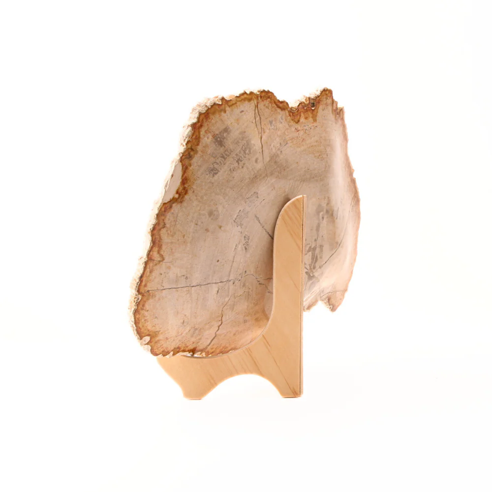Versteend Hout Schaal 3 - Image 2