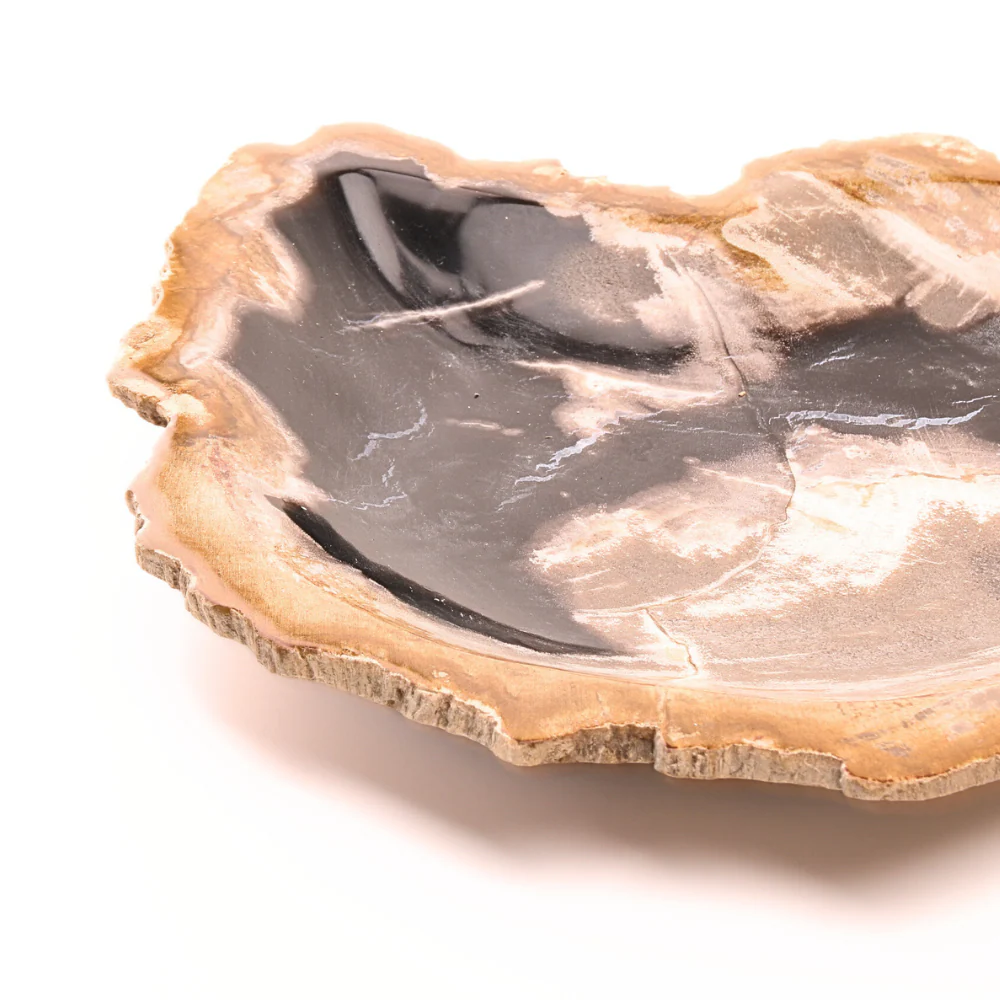 Versteend Hout Schaal 4 - Image 3