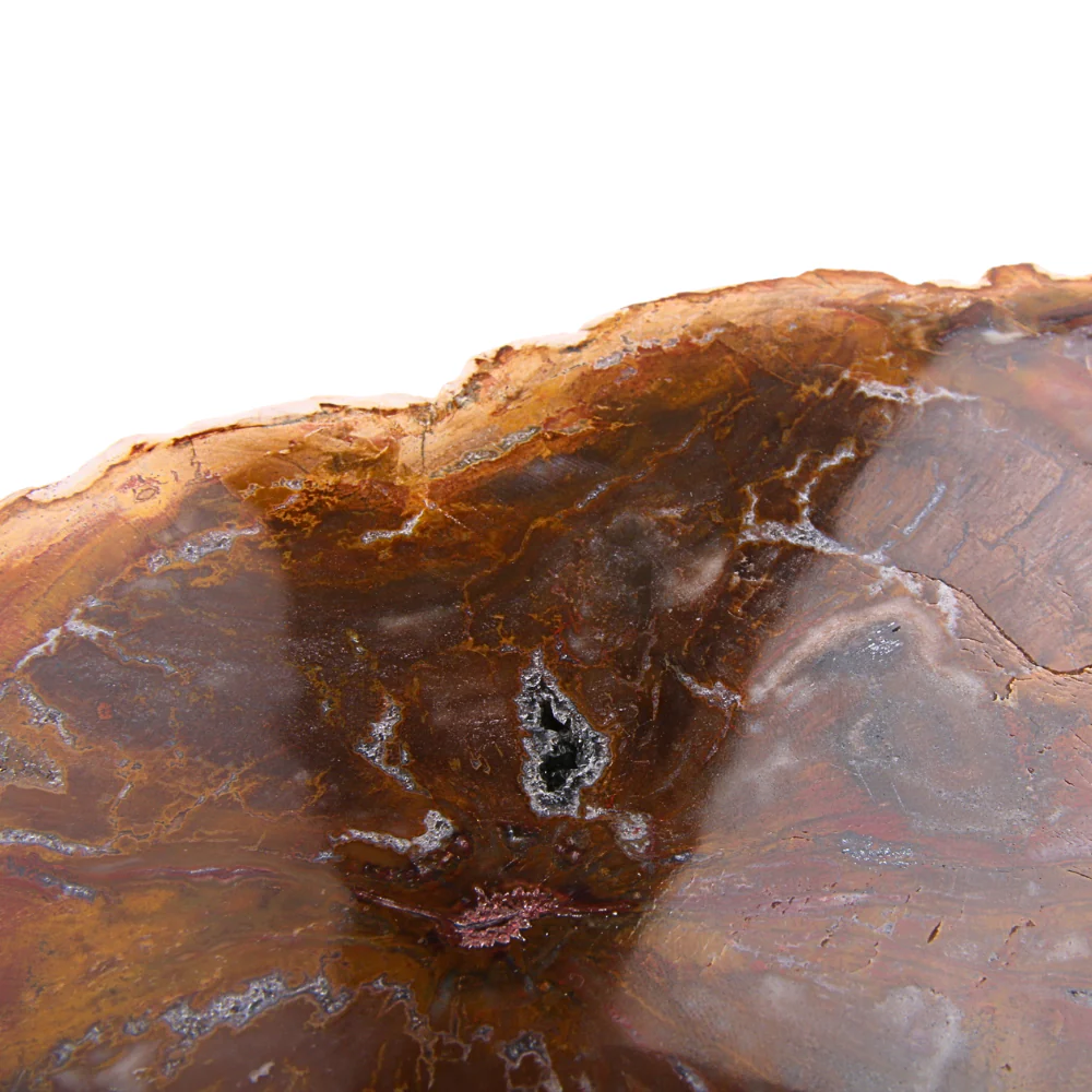 Versteend Hout Schijf - 13 - Image 3