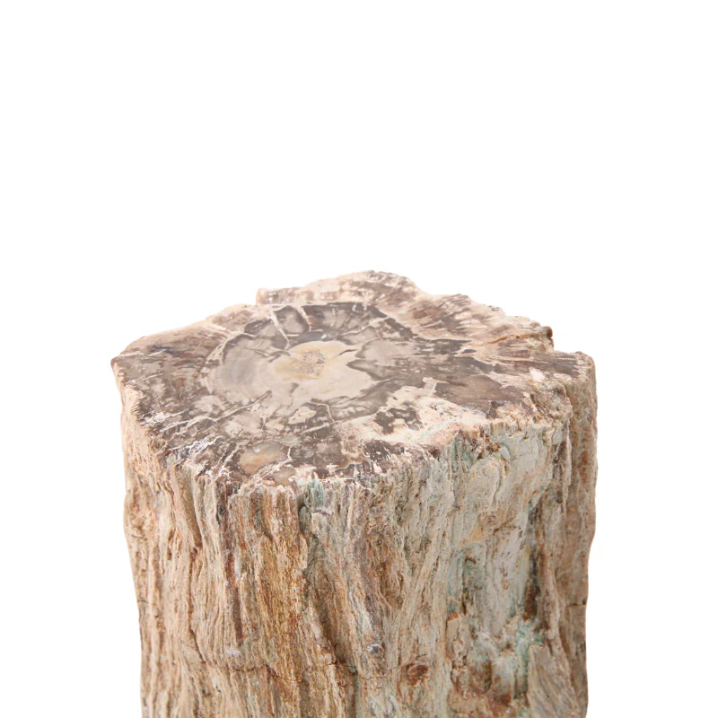 Versteend Hout Stuk - 13 - Image 2