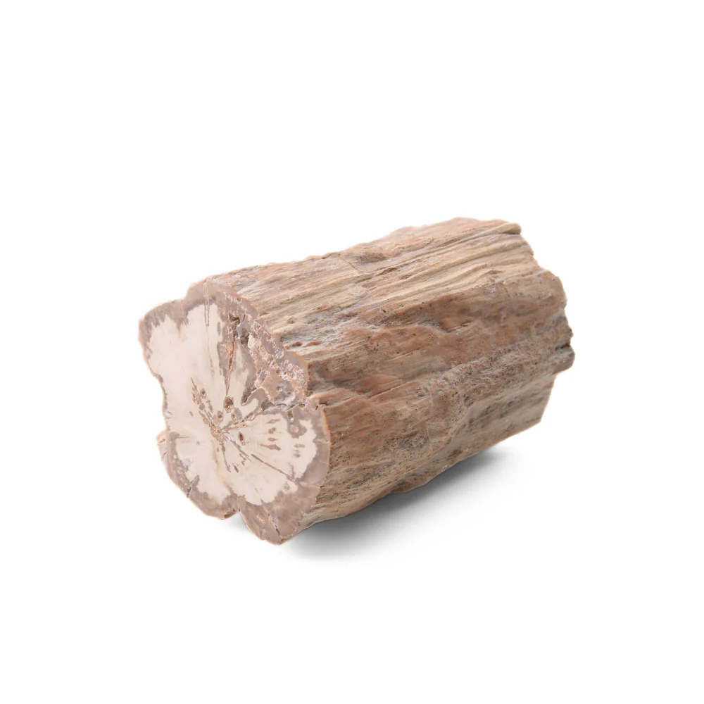 Miniatuur 2