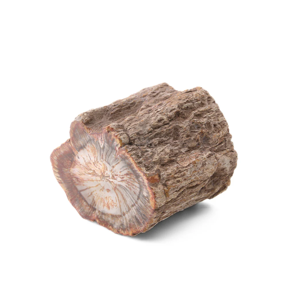 Miniatuur 2