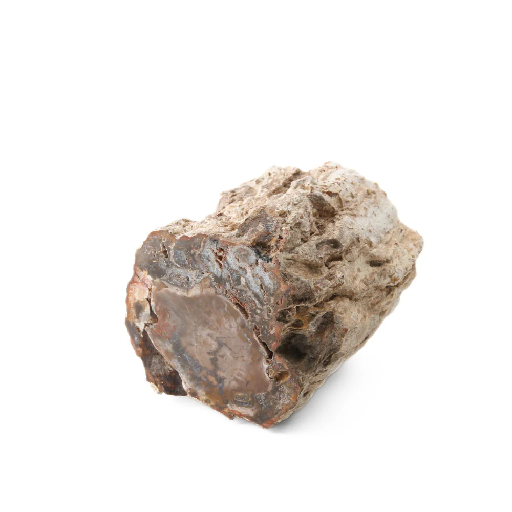 Miniatuur 2