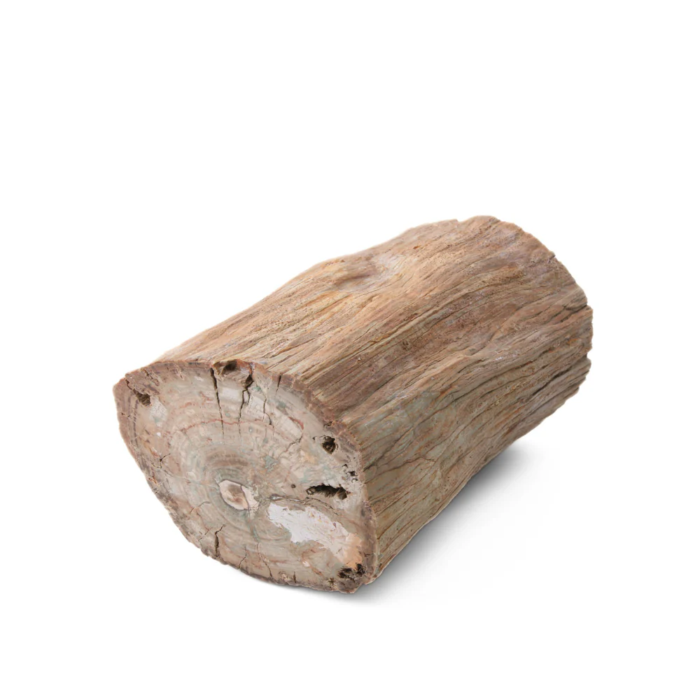 Miniatuur 2
