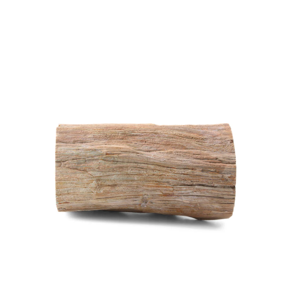 Versteend Hout Stuk - 9 - Image 3