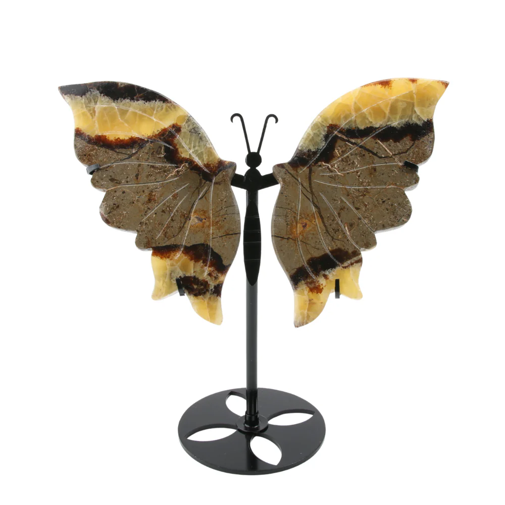 Miniatuur 1