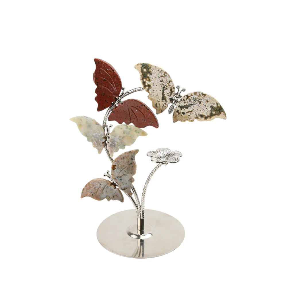 Vlinderboom Jaspis - Image 3