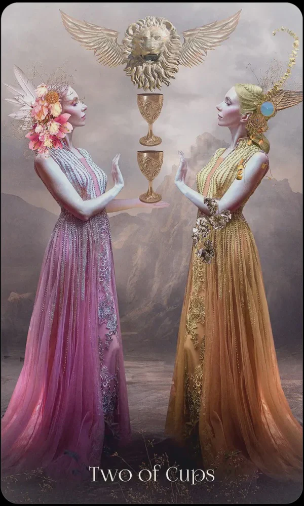 When Women Had Wings Tarot Deck - Image 3