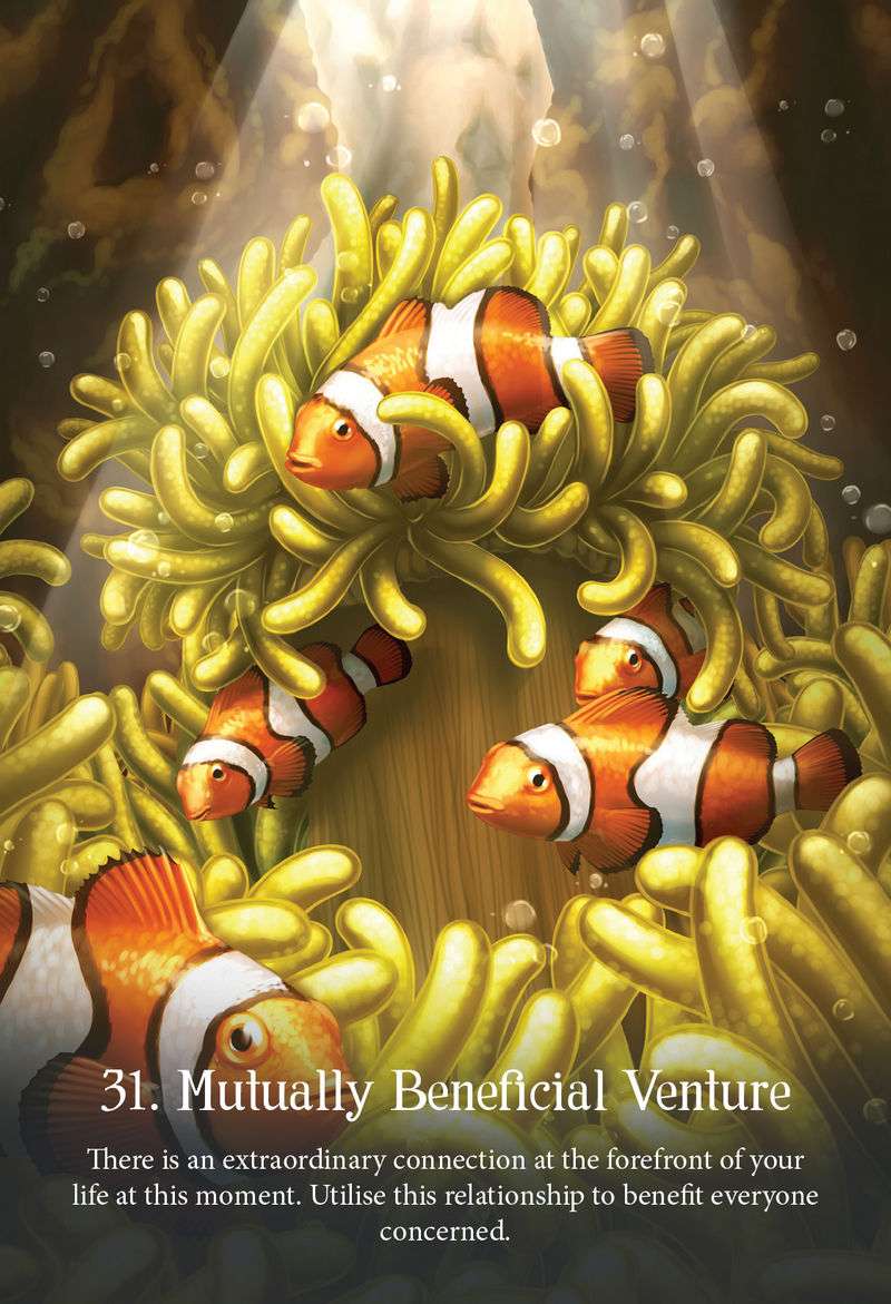 Whispers of the Ocean Oracle Cards - Image 4