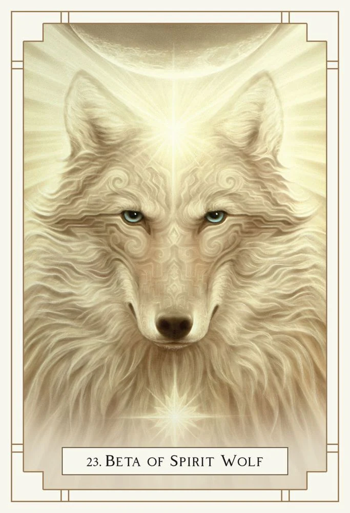White Light Oracle - Image 3