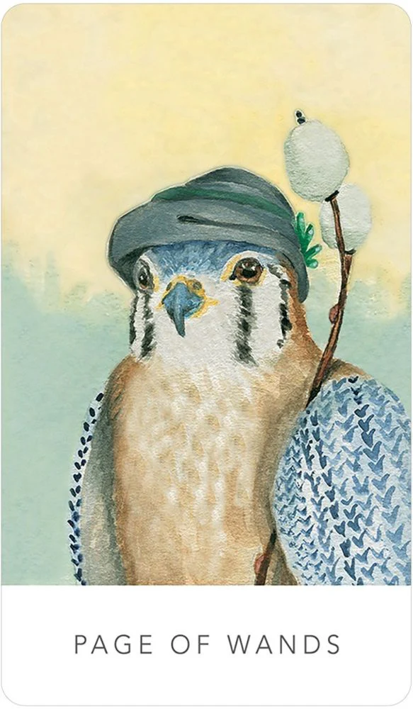 White Sage Tarot - Image 4