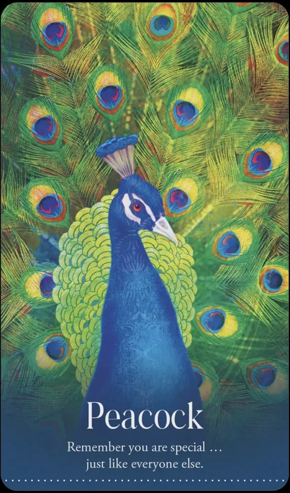 Wild Dreams Animal Oracle - Image 3