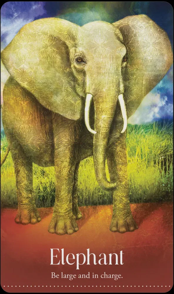 Wild Dreams Animal Oracle - Image 4