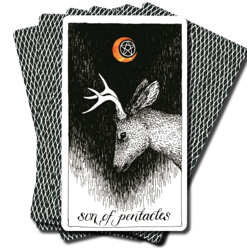Wild unknown tarot deck and guidebook - Image 3