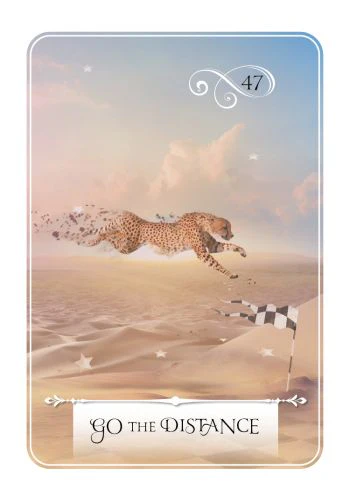 Wisdom of the Oracle Pocket Divination Cards - Image 3